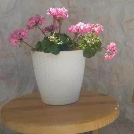 Apartment In Privlaka Mit Garten, Terrasse Und Grill